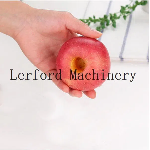 Apple Lochfraßmaschine - Görsel 3