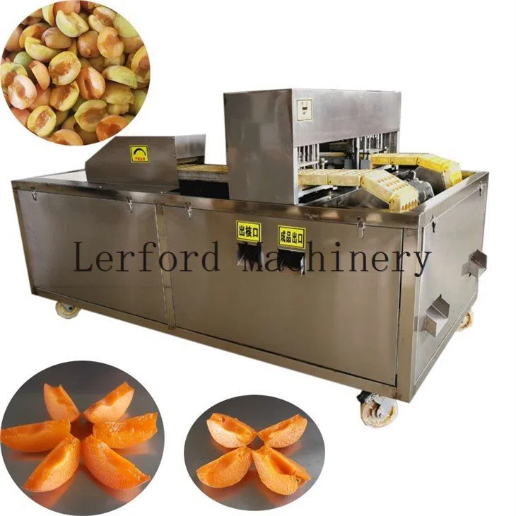 Aprikosenkernmaschine - Görsel 5