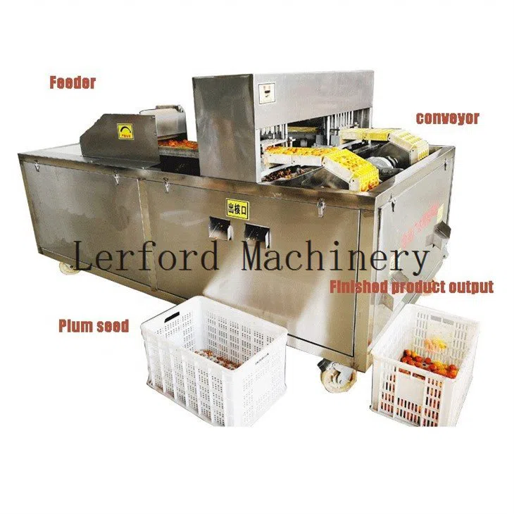 Automatischer Olivenentkerner - Görsel 4