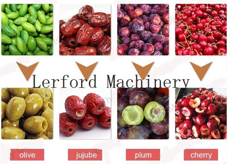 Aprikosenkernentfernungsmaschine - Görsel 3