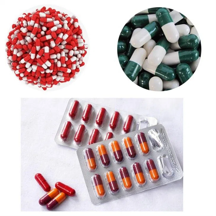 Kapselfüllmaschine - Görsel 5