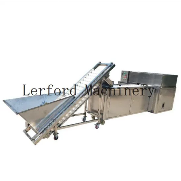 Pfirsich-Pitter-Maschine