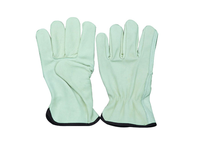 Fahrer Lederhandschuhe  GE-AB-10