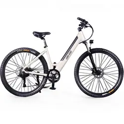 EU Warehouse E Bikes Fahrrad 500W 800W Blue Bird Fahrrad Spezielle Tandem Road Mountains Bikes