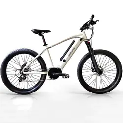 Mountainbike Fahrräder LED Licht Mann Frau Kundenspezifische Größe E Bikes Mountain Bike Zwei Sitze