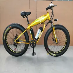 China-Lieferanten-preiswertes elektrisches Fahrrad 250W 300W 500W Aluminiumlegierungs-Verschluss-Gabel-Stahl-Sattelstütze LED-Licht Ebike