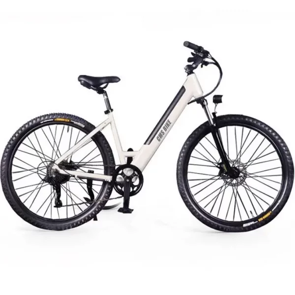 10.4 AH Batterie LCD Licht China 20Zoll Rad 30 KG E-Fahrrad Laufleistung 4O-5OKM Alu Fahrrad - Görsel 7