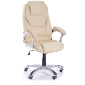 China Ergonimic Leder Executive Office Stuhl