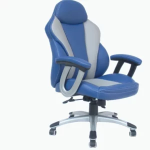 Neues Design Luxuriöser Blauer Ledersessel